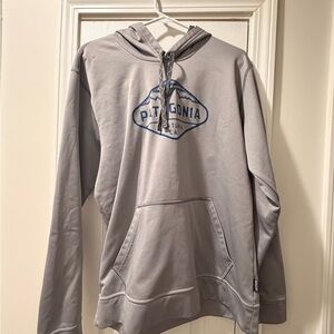 Patagonia Gray Men's Hoodie